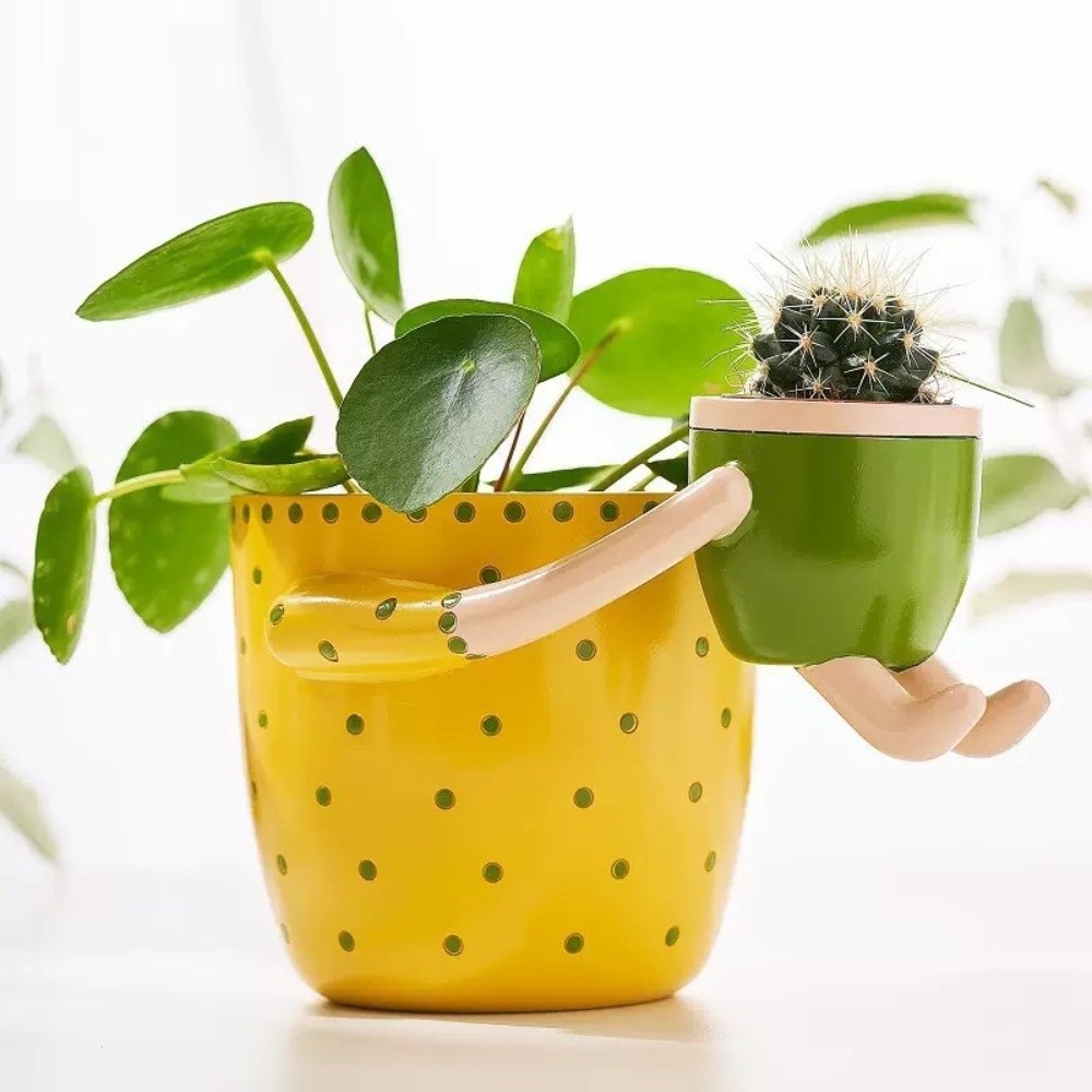 Resin Parent-child Flowerpot F - Plant Parental 리뷰 및 가격