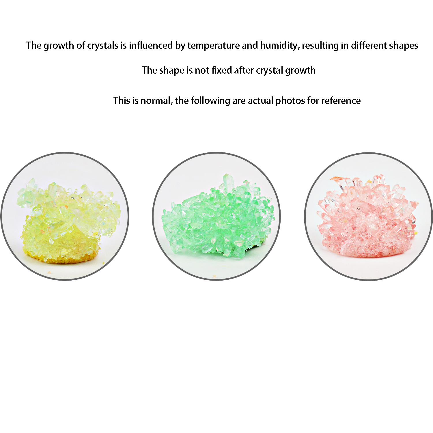 Crystal planting DIY scientifi - Plant Parental 리뷰 및 가격